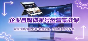 企业自媒体账号运营实战课：定位打造+ 爆款内容+数据优化，快速提升账号权重-沧海聊项目