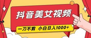 抖音美女视频，一刀不剪，两分钟一条视频，小白轻松上手，日入1000-沧海聊项目