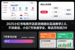 2025小红书电商开店卖货精细化实战教学2.0,不讲废话,小白7天快速学会,单店月利润2W-沧海聊项目