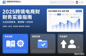 2025跨境电商财务实操指南，从后台到账本，算清每一分利润，系统讲解-案例实操-专业提升-沧海聊项目
