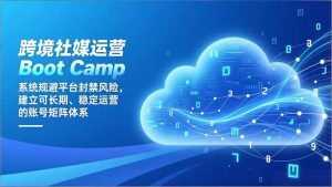 跨境社媒运营Boot Camp：系统规避平台封禁风险，建立可长期、稳定运营的账号矩阵体系-沧海聊项目