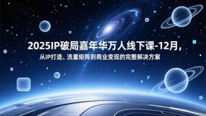 2025IP破局嘉年华万人线下课-12月，从IP打造、流量矩阵到商业变现的完整解决方案-沧海聊项目