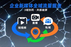 短视频全域商业模式，企业新媒体全域流量掘金，3域协同，共振破屏，短视频-直播-私域-地域-沧海聊项目