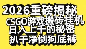 2026开年重磅解密，CSGO游戏搬砖挂G日入1k+的秘密，把倒狗的底裤扒干【揭秘】-沧海聊项目
