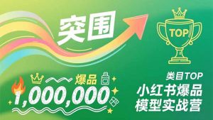 小红书爆品模型实战营，从新品突围到成为类目TOP，可复制路径，打造多个营收百万级爆品-沧海聊项目