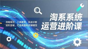 淘系系统运营进阶课2.0，流程规范、工具教学、实战诊断，进阶突破，打造高盈利店铺模型-沧海聊项目