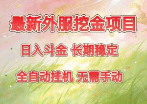 最新外服挖金项目，日入斗金，项目长期稳定，可放大操作，全自动运行，无需手动【揭秘】-沧海聊项目
