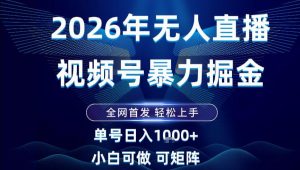 2026最新视频号无人直播掘金，全网首发，小白可以玩，长期稳定日入1k+【揭秘】-沧海聊项目
