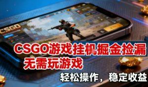 CSGO游戏挂G掘金捡漏,不需要玩游戏,操作简单,收益稳定【揭秘】-沧海聊项目