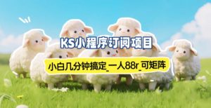 小程序订阅项目_小白几分钟搞定，一人88米，可矩阵(已测到账)-沧海聊项目