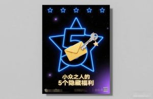 付费文章：小众之人的5个隐藏福利-沧海聊项目