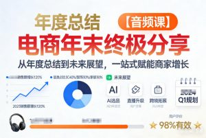 电商年未终极分享，从年度总结到未来展望，一站式赋能商家增长【音频课】-沧海聊项目