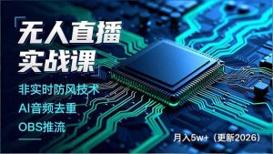 无人直播实战课,非实时防风技术、AI音频去重、OBS推流,建立技术壁垒,月入5w+(更新2026-沧海聊项目