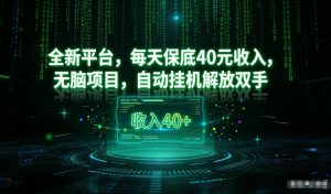 最新看广平台，每天保底30-4米，无脑项目，自动挂G解放双手【揭秘】-沧海聊项目