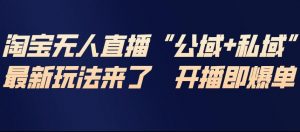 淘宝无人直播完整教程，公试+私域，最新玩法来了，开播即爆单-沧海聊项目