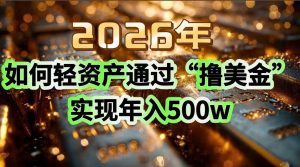 2026年如何轻资产通过“撸美金”实现年入500w-沧海聊项目