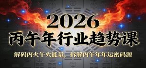 公众号付费文章：2026丙午年行业趋势课：解码丙火午火能量，拆解丙午年年运密码源-沧海聊项目