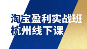 淘宝盈利实战班杭州线下课12月26-28日(音频+字幕)，帮你掌握SOP流程+12门核心技术-沧海聊项目