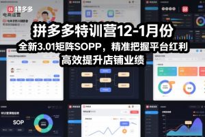 拼多多特训营12-1月份，全新3.01矩阵Sop，精准把握平台红利，高效提升店铺业绩-沧海聊项目