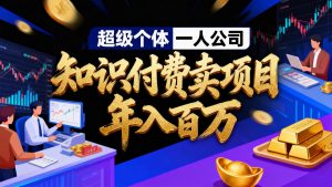 2026年“超级个体一人公司”私域卖项目年入百万，个人IP-精准引流-项目包装-转化成交-沧海聊项目
