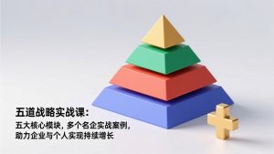 五道战略实战课：五大核心模块，多个名企实战案例，助力企业与个人实现持续增长-沧海聊项目